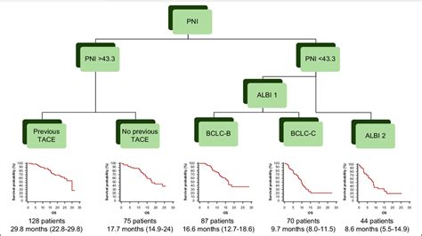 Classification Of Patients Treated With Lenvatinib According To