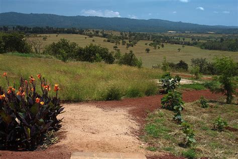 Pathway To The Hills Photograph By Sally Weigand Pixels