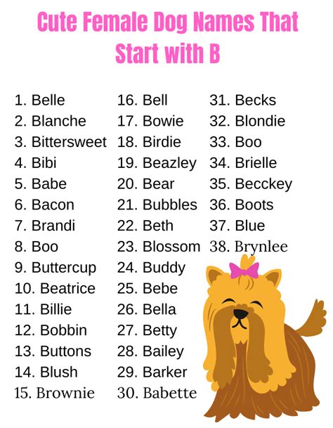 Dog Names