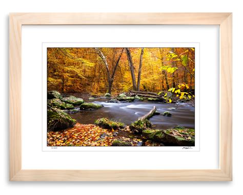 Framed Landscape Autumn Path, Limited Edition Framed Photography