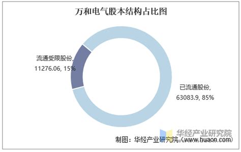 2016 2020年万和电气（002543）总资产、总负债、营业收入、营业成本及净利润统计华经情报网华经产业研究院