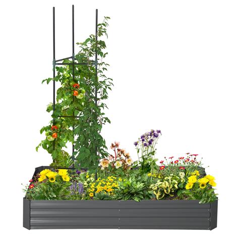 Carr Potager De Jardin Avec Tuteur Modulable Acier Prix Carrefour