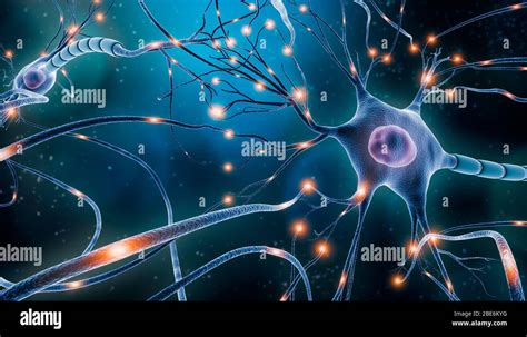 Red Neuronal Con Actividad El Ctrica De C Lulas Neuronales Ilustraci N