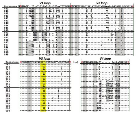 Env Hypervariable Loop Amino Acid Diversity Of SIVcpz Ptt Cam155