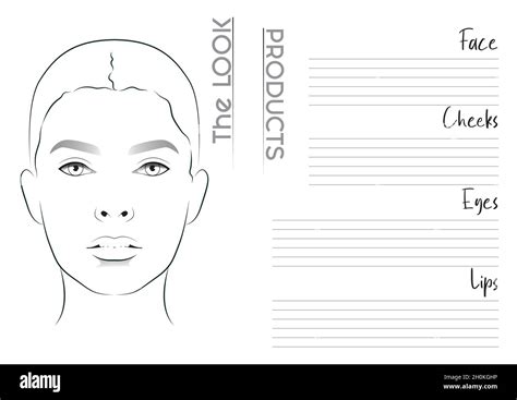 Realistic Makeup Artist Face Chart Blank Template Vector Illustration