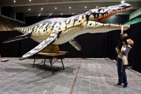 Liopleurodon Prehistoric Animals Prehistoric Creatures Prehistoric