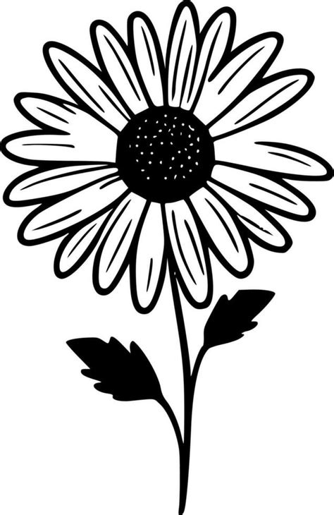 Daisy, Black and White Vector illustration 23539992 Vector Art at Vecteezy