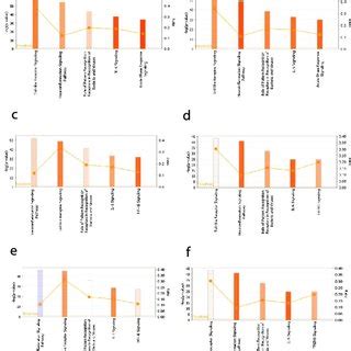 The Top Significantly Induced Canonical Pathways Cps Identified By