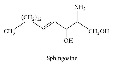 Structure Of Key Sphingolipid Molecules All Sphingolipids Are Download Scientific Diagram