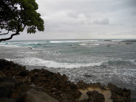 Turtle Bay Hawaii By Duke98 On Deviantart