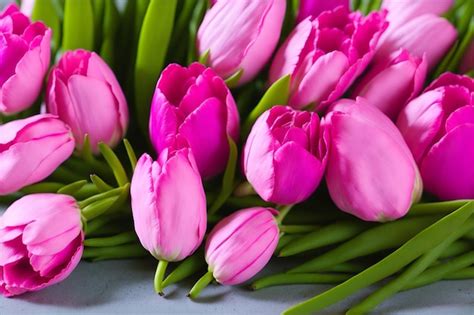 Premium Ai Image Pink Tulips