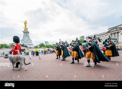 Irish Guard Mascot Hi Res Stock Photography And Images Alamy