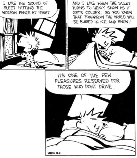 Pin By Phyllis Ingram On Calvin Hobbes Calvin And Hobbes Comics