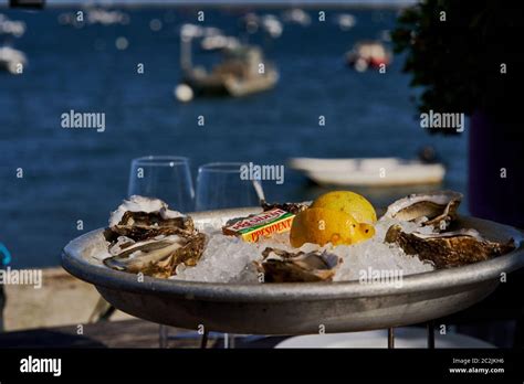 Arcachon bay with fishing and sailing vessels in the background with ...