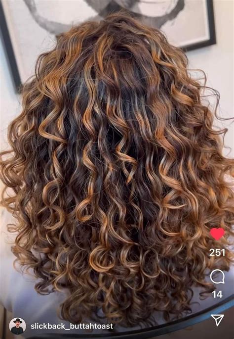 Natural Curly Hair Cuts Brown Curly Hair Blonde Curly Hair Colored