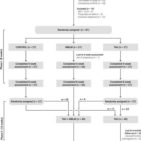 Participant Flow Bdi‐ii Beck Depression Inventory‐ii Control Drug