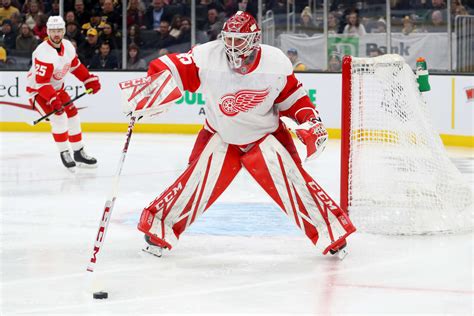 Detroit Red Wings: Grading the goaltenders 2019-20 performances