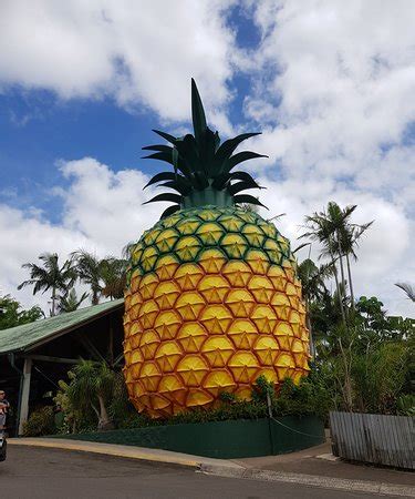 The Big Pineapple (Nambour) - 2020 All You Need to Know Before You Go ...