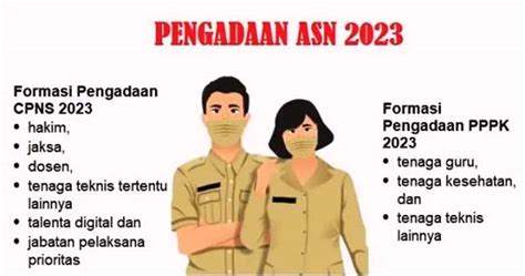 Pemerintah Segera Buka Tes Cpns Dan Pppk Besar Besaran Ini