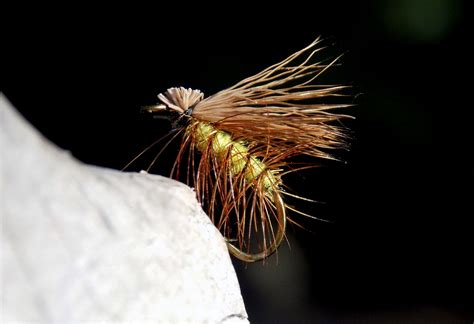 Elk Hair Caddis Fly Recipe