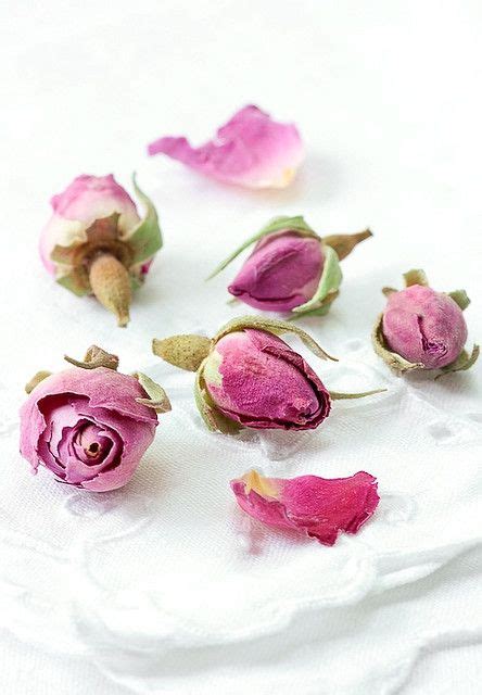 Baking With Edible Dried Rose Drying Roses Edible Flowers Edible