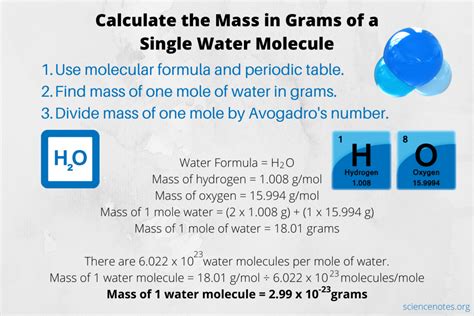 Calculate The Mass In Grams Of A Single Water Molecule