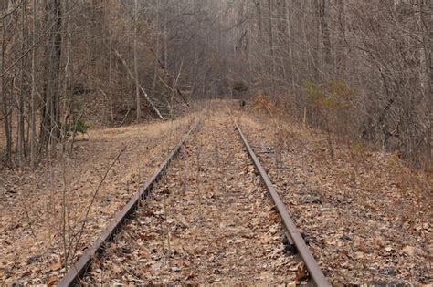 Premium Photo Railroad Track Passing Through Landscape