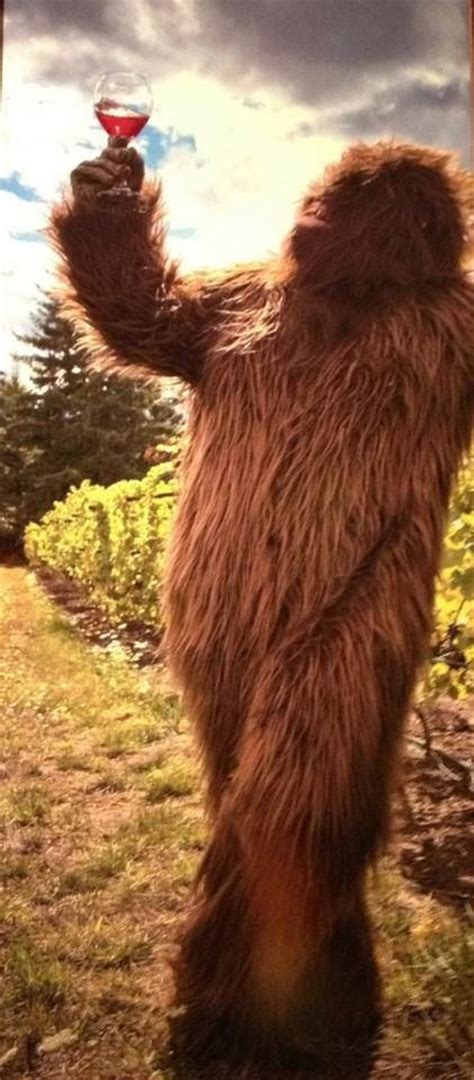 158 best Bigfoot jokes images on Pinterest | Finding bigfoot, Bigfoot ...