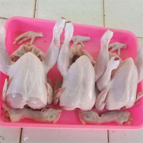 Jual Ayam Potong Segar Di Seller Toko Ayam Rochidi Pisangan Timur