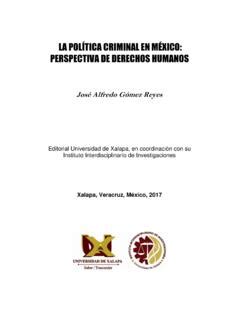 LA POLÍTICA CRIMINAL EN MÉXICO PERSPECTIVA DE la pol 205 tica