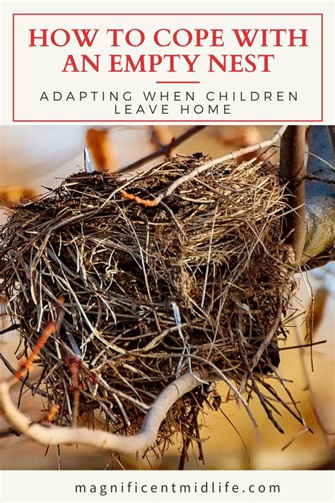 How To Cope With An Empty Nest Cope Empty Nest Syndrome Empty Nest