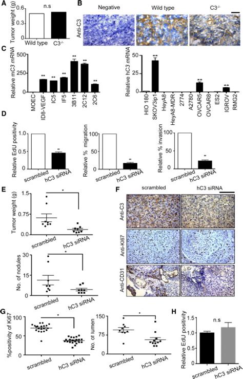 Ovarian Cancer Cells Secrete Complement Proteins Which Enhance Tumor