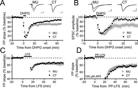 Disruption Of Mglurhomer Interactions Inhibits Mglur Dependent Ltd A