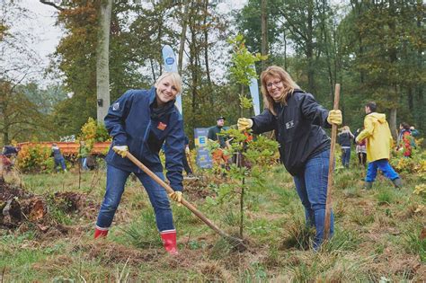 Baumpflanzaktion Mitmachen Und Baum Spenden Zukunftleben