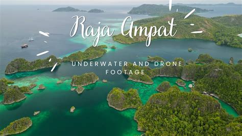 Scuba Diving Raja Ampat as guests of Gaia Love (Part 2 - underwater and drone footage) - YouTube