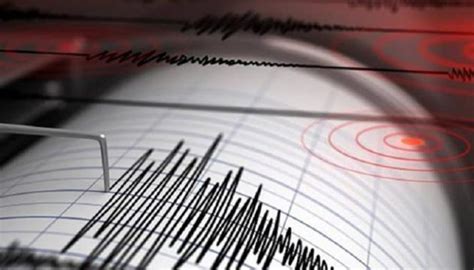 Sismo Marino Se Registra Frente A Las Costas De Ecuador Noticias