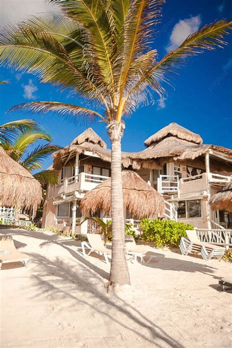 Fundo Praia Ensolarada Tropical Em Belo Resort Exótico Ninguém Mar