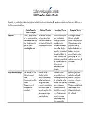 Cj Module Three Assignment Template Docx Cj Module Three