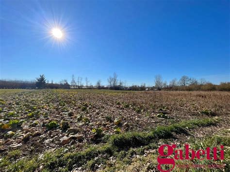 Terreno Agricolo Strada Orti Bra Rif Immobiliare It