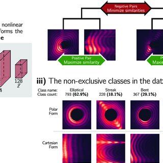 details   cplr architecture  concept   classes