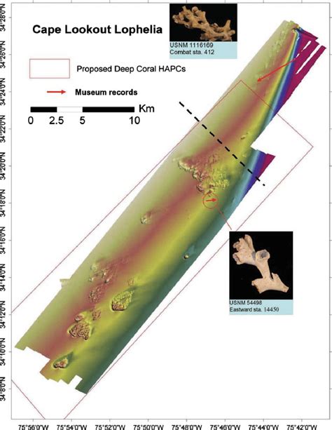 Multibeam Sonar 10 M Resolution Shaded Bathymetry Image Of Massive