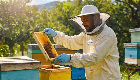 What are the Different Beekeeping Techniques?