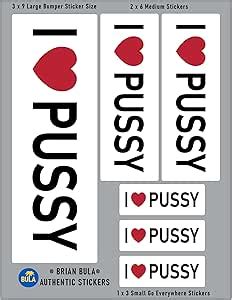 Amazon 6 I Love Pussy Stickers 1 Large 3x9 Bumper Sticker 2