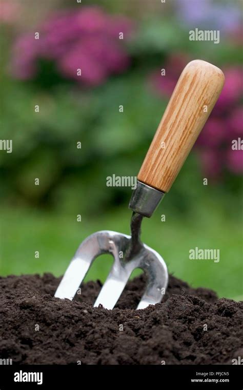 Small Gardening Fork With Wooden Handle Sticking Out Of Soil Stock