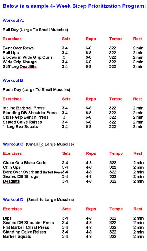 Writing For Your Health Biceps Exercises Chart For Building Big Biceps