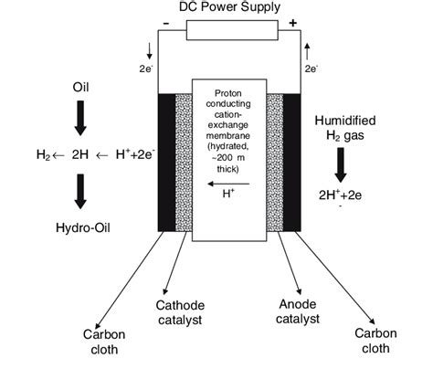 Schematic Diagram Of The Membrane Electrode Assembly And The Relevant