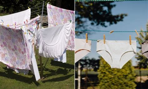Neighbour complains laundry on washing line is 'ruining her view'