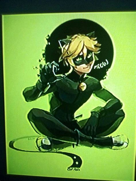 Chat Noir Wiki •miraculous Ladybug Español• Amino