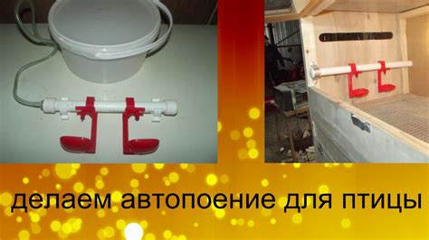 Авто Поилки для кур и цыплят своими руками . - YouTube