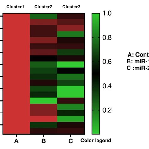 Heat Map Displaying The Differential Expression Patterns Of Mir 122 And